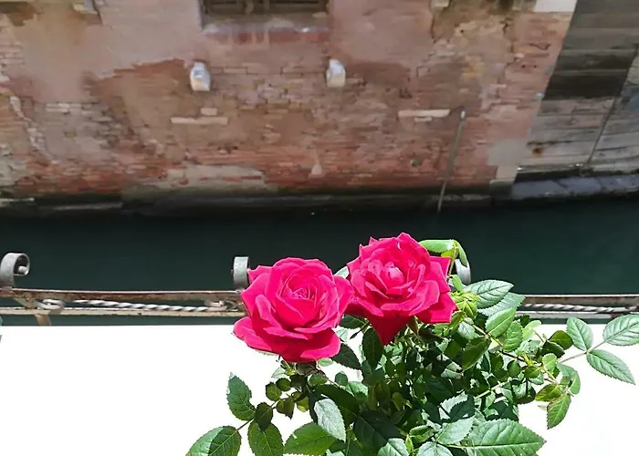 Mario 2188/a Apartamento