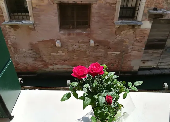 Mario 2188/a Apartamento Venecia